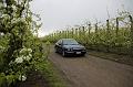 MG Bloesemrit op 24-4-2016 org. Jos&Marie-lou  (91)